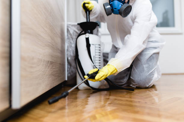 Best Affordable Pest Control Services  in Kermit, TX
