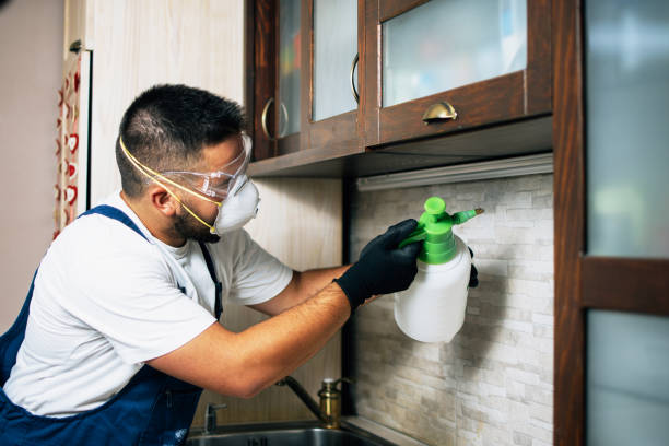 Professional Pest Control in Kermit, TX