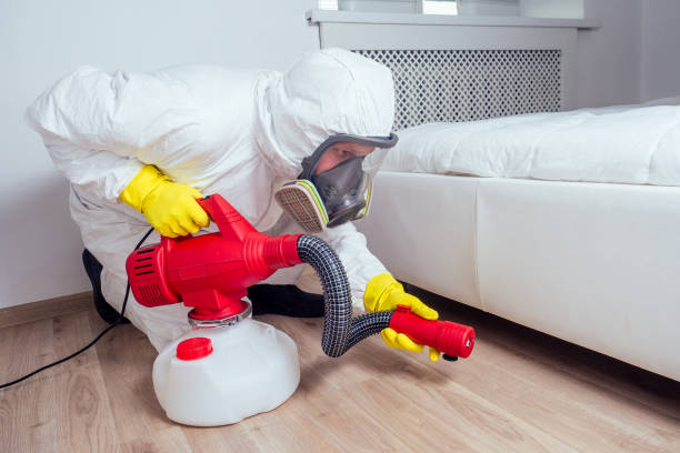 Best Flea Control Services  in Kermit, TX