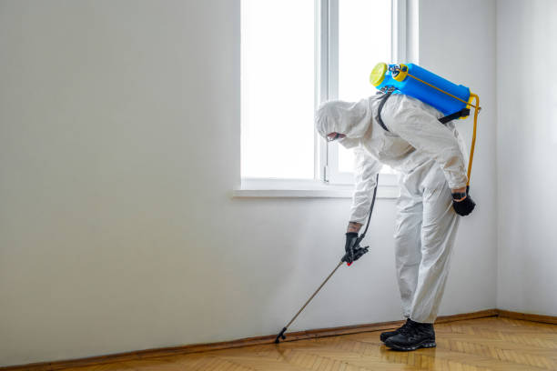 Best Ant Control Services  in Kermit, TX
