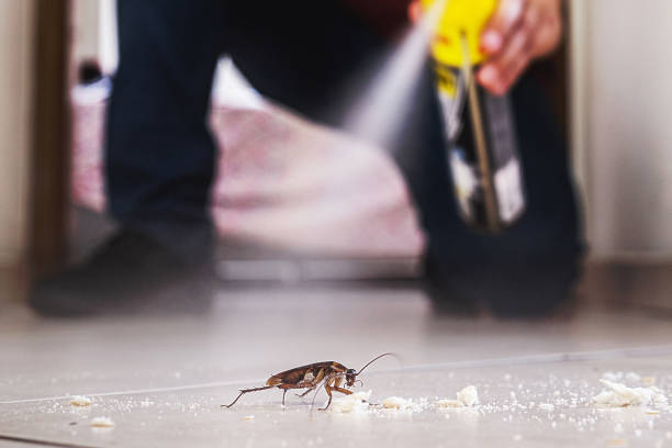Best Commercial Pest Control Services  in Kermit, TX