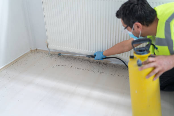 Best Rat Extermination Near Me  in Kermit, TX